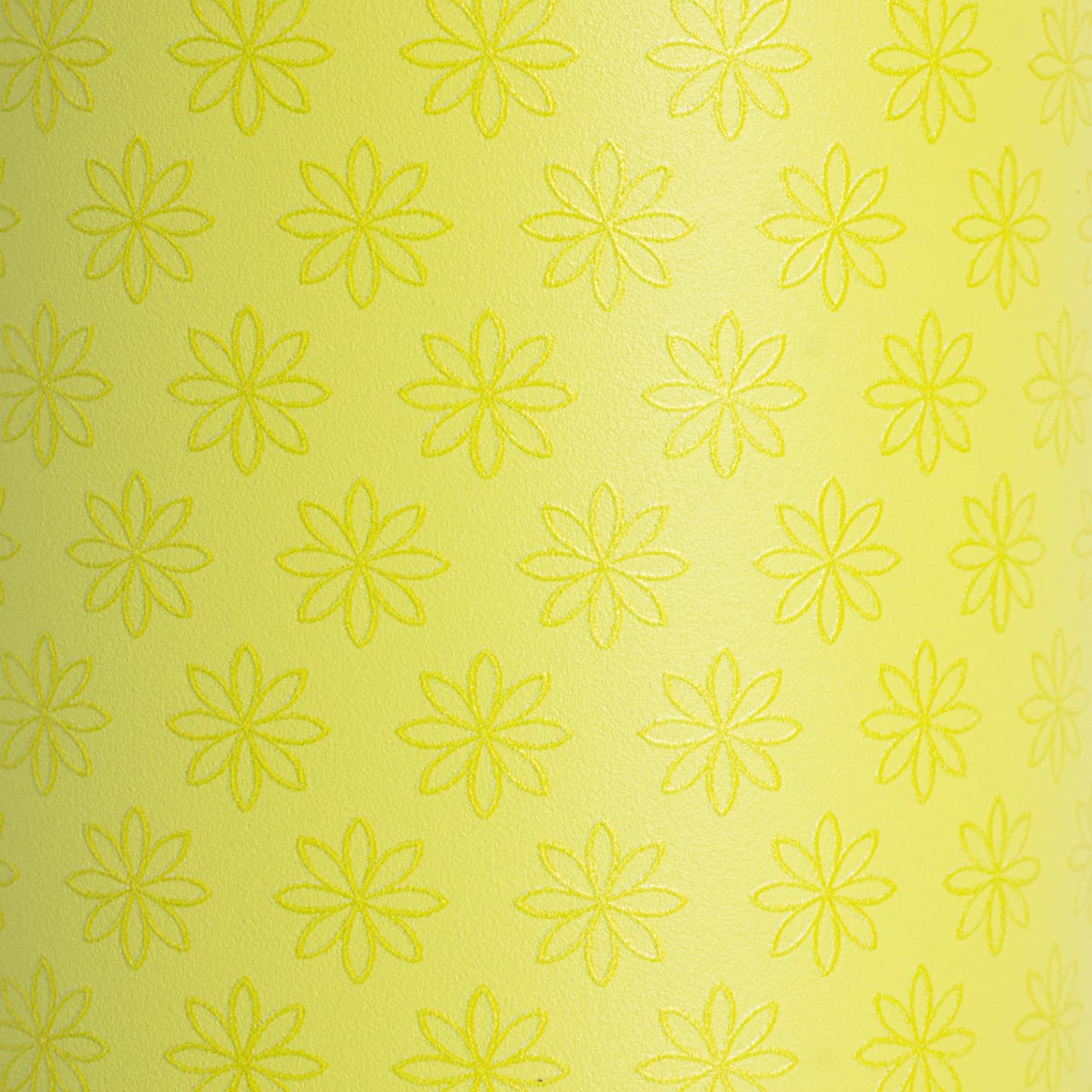 ACTIVE 24 OZ LIME STARS